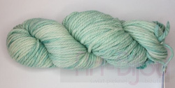 włóczka Malabrigo Chunky col. 83 Water Green (farbowanie nr 2989)